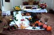 IMG_20250914_091533_942.jpg