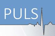 puls-headline.jpg